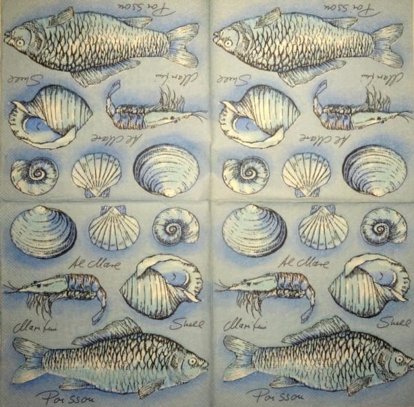 091 Muscheln - 3-lagig (weiß)